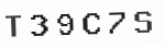 Verification Code Image